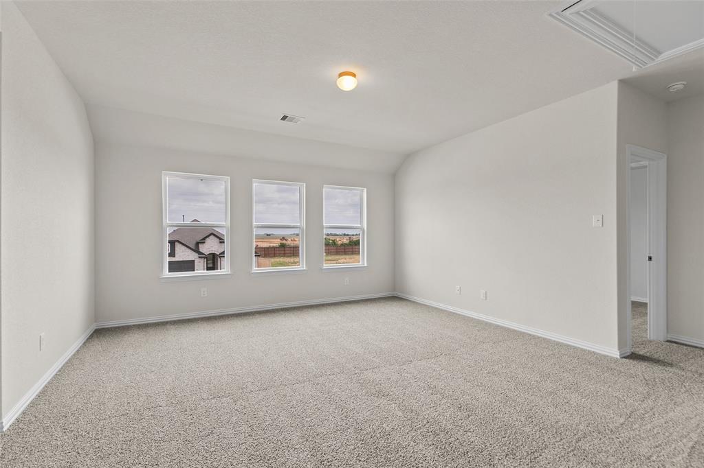 21930 Pecan Buff Drive, Waller, Texas image 30