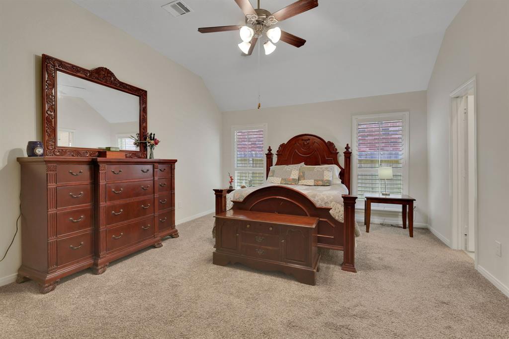 6406 Black Hills Trail, League City, Texas image 19