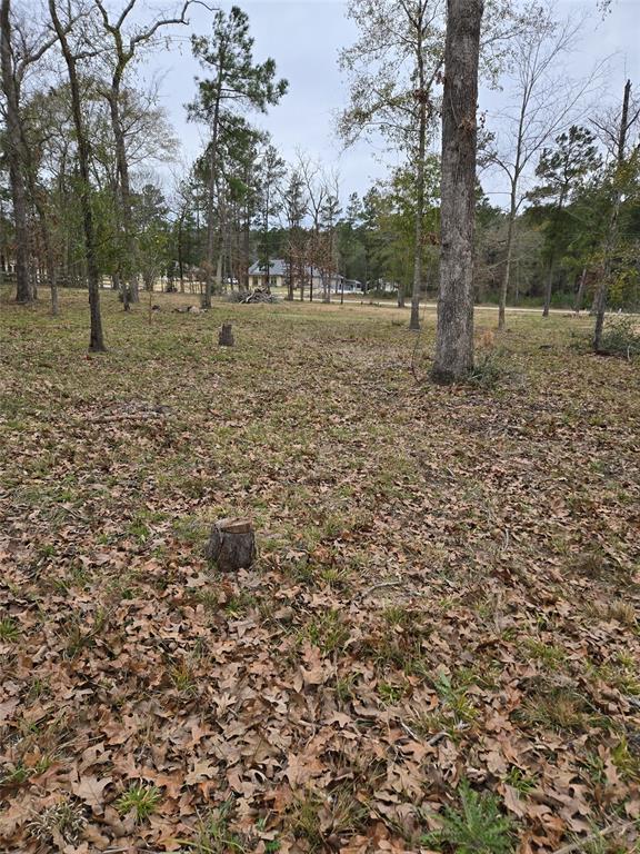 00 Dahlia Road, Huntsville, Texas image 8