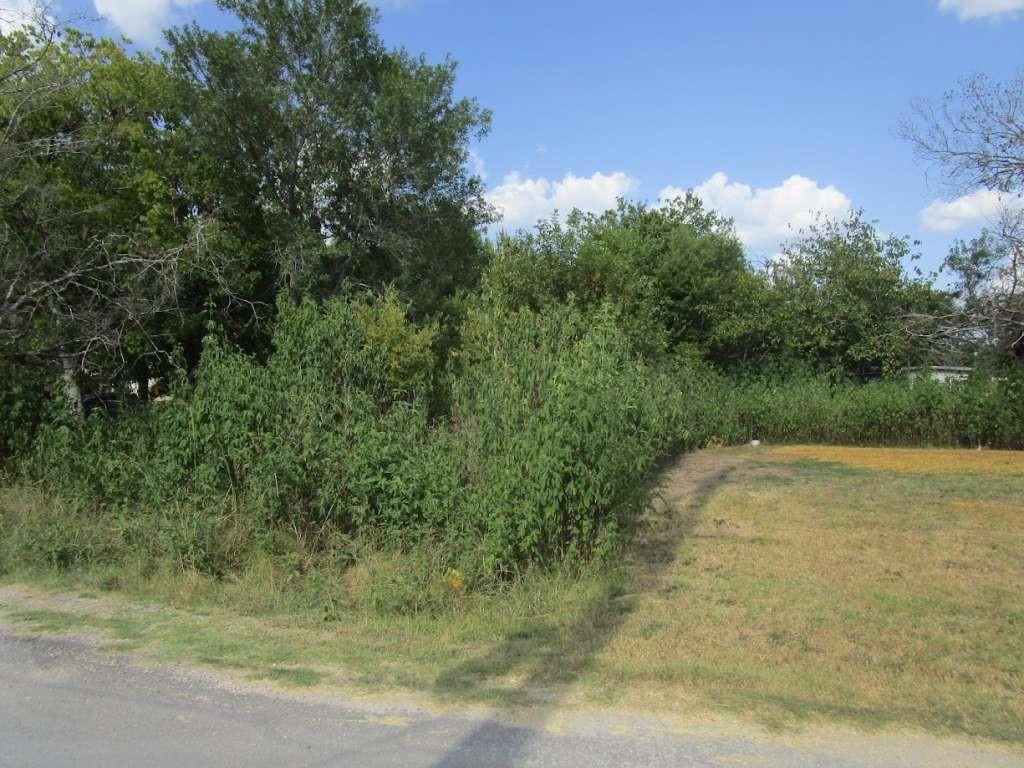 Louise Street, Navasota, Texas image 1