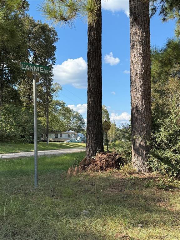 TBD Lannie Blvd, Livingston, Texas image 3