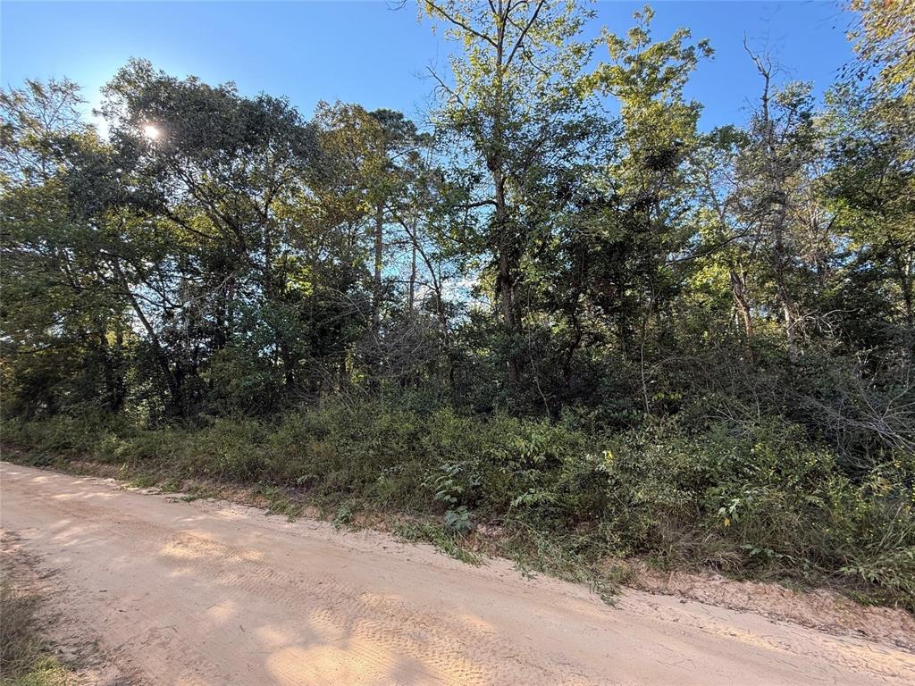 TBD Lannie Blvd, Livingston, Texas image 1