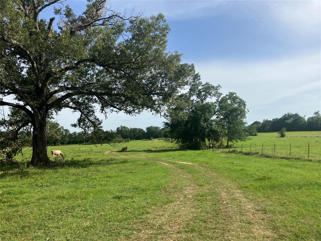 783 Fm 977, Leona, Texas image 6