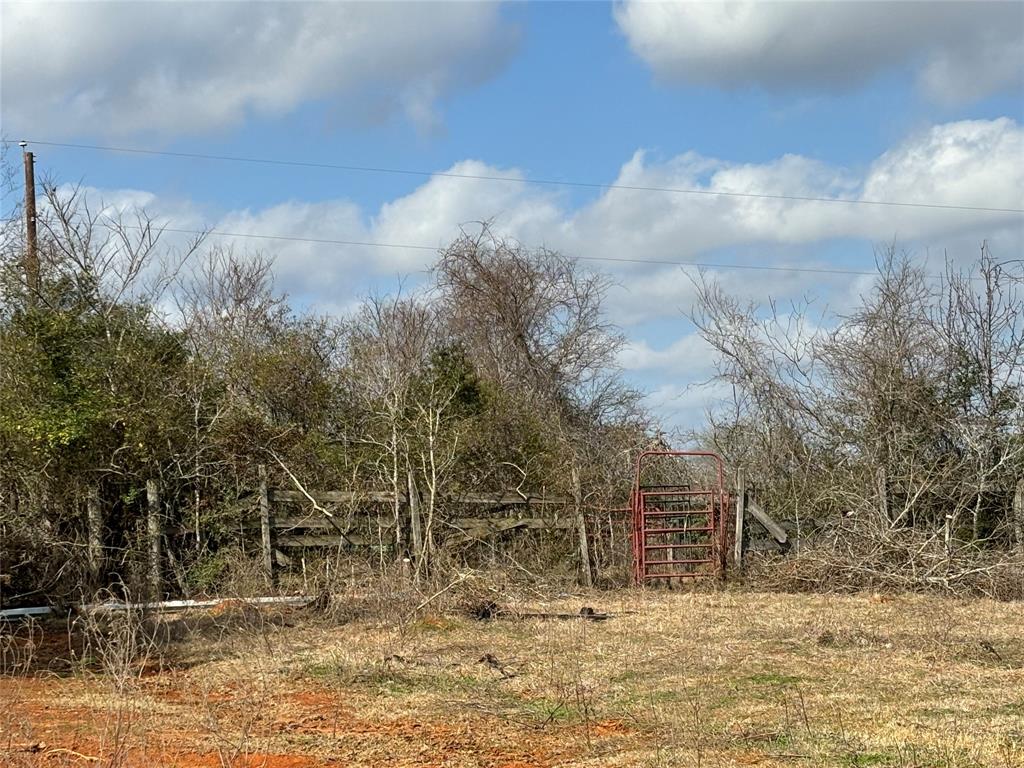 783 Fm 977, Leona, Texas image 13