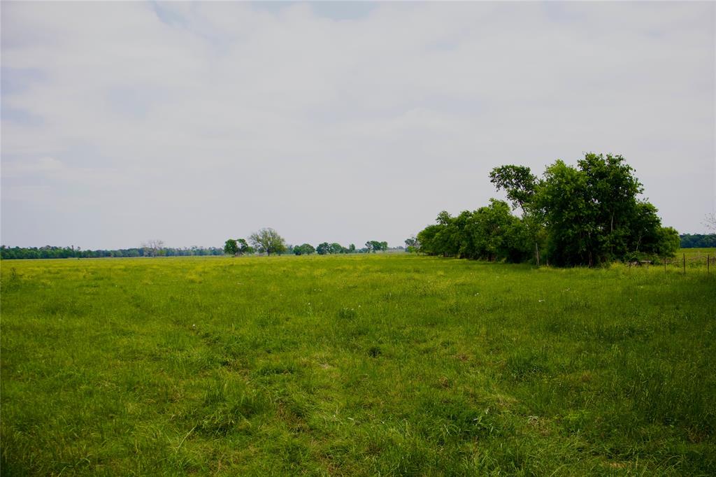 TBD Addie Gee Road, Hempstead, Texas image 3