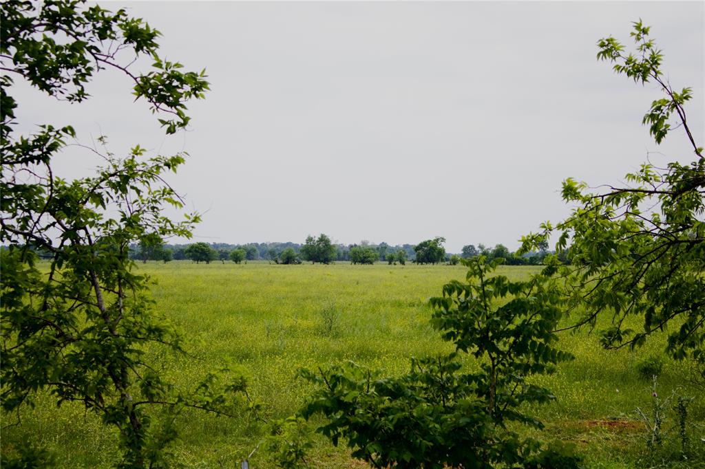 TBD Addie Gee Road, Hempstead, Texas image 7