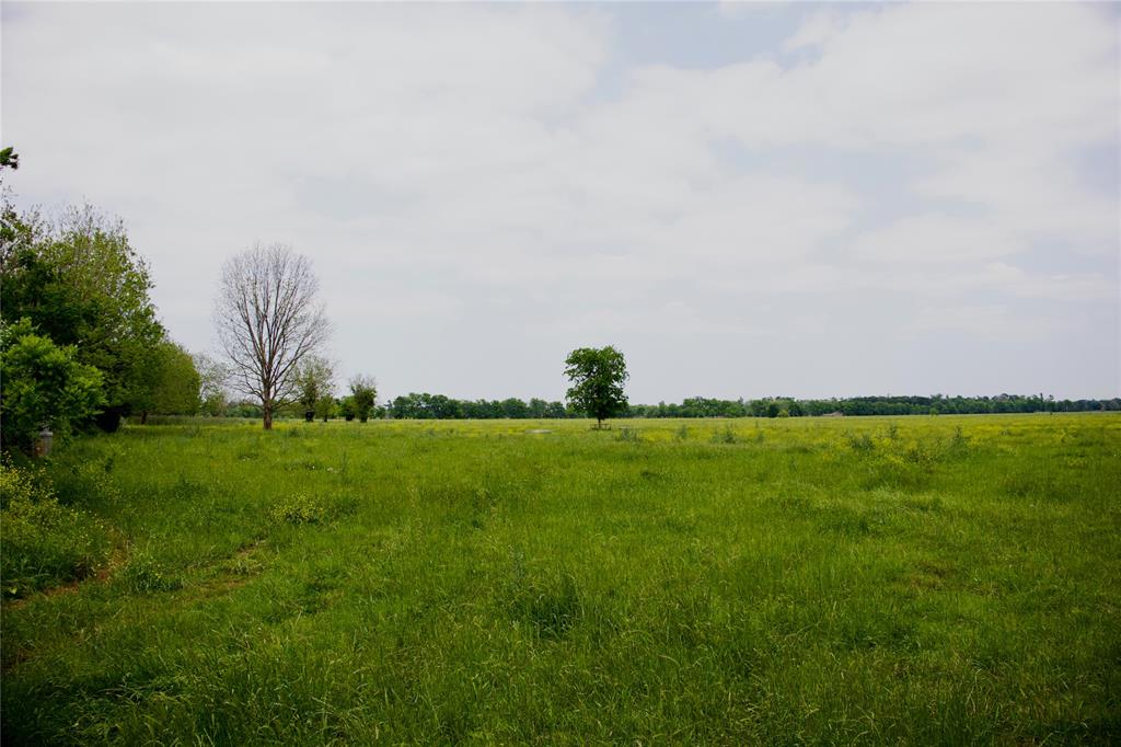 TBD Addie Gee Road, Hempstead, Texas image 4