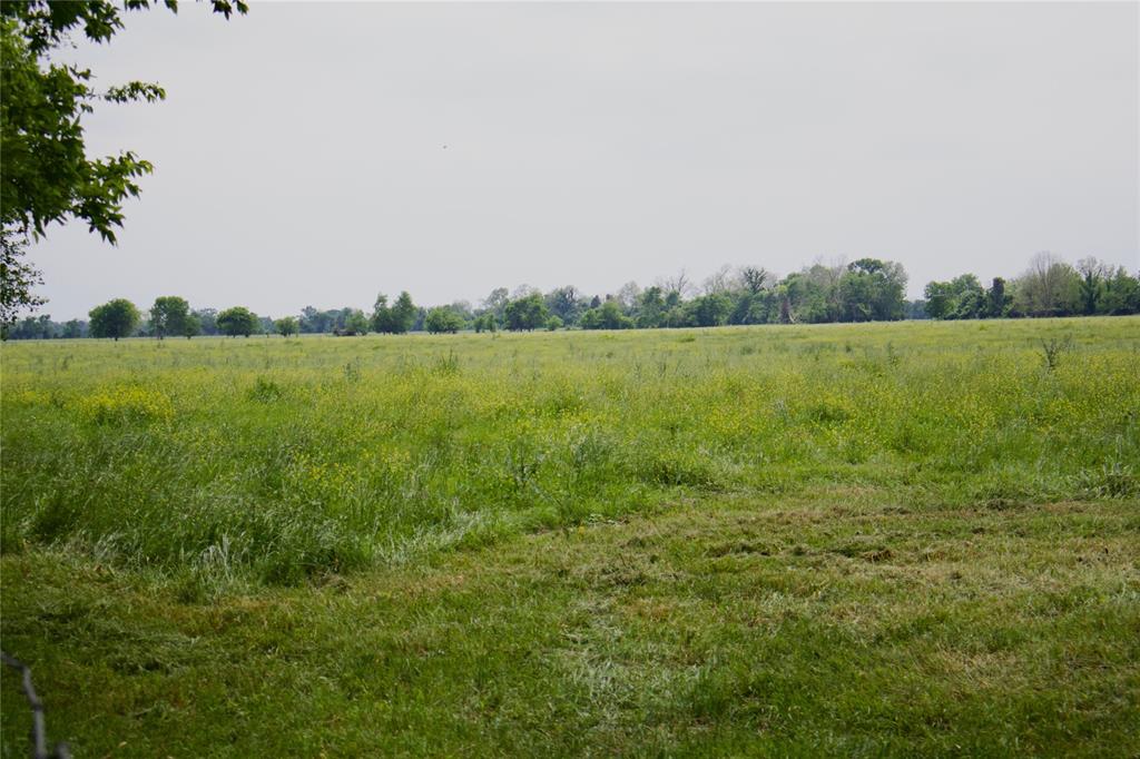 TBD Addie Gee Road, Hempstead, Texas image 6