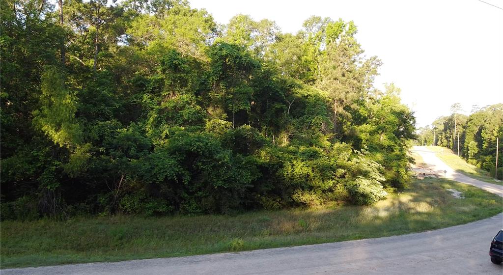 210 Red Hawk Road, Huntsville, Texas image 8