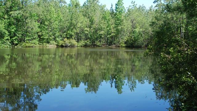 24339 Stargazer Point, Spring, Texas image 22
