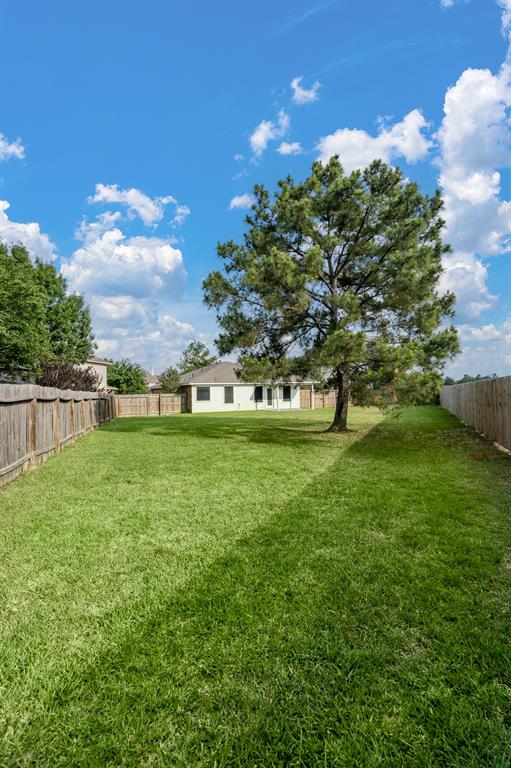 24339 Stargazer Point, Spring, Texas image 20