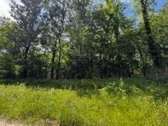 57 County Road 2862, Cleveland, Texas image 1