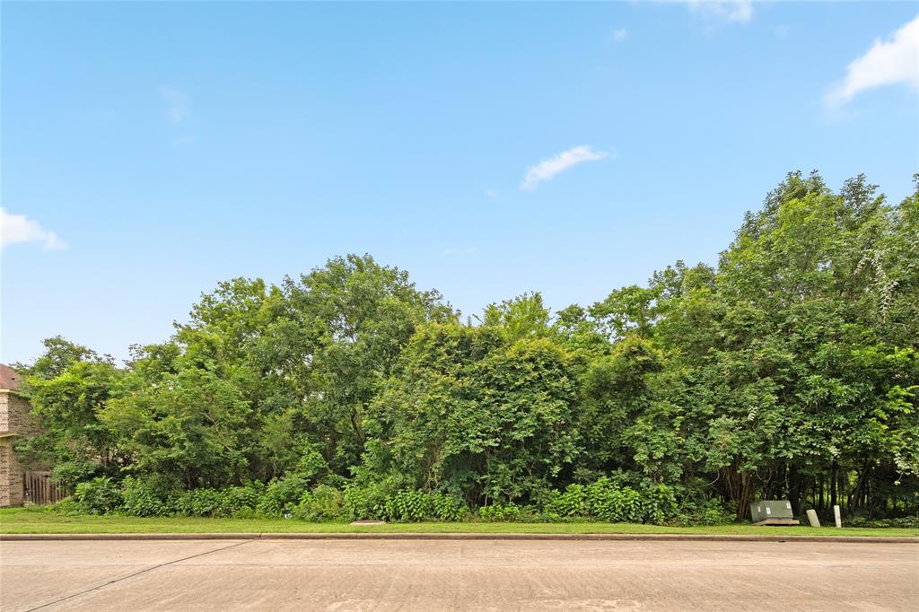 155 Island Boulevard, Missouri City, Texas image 10