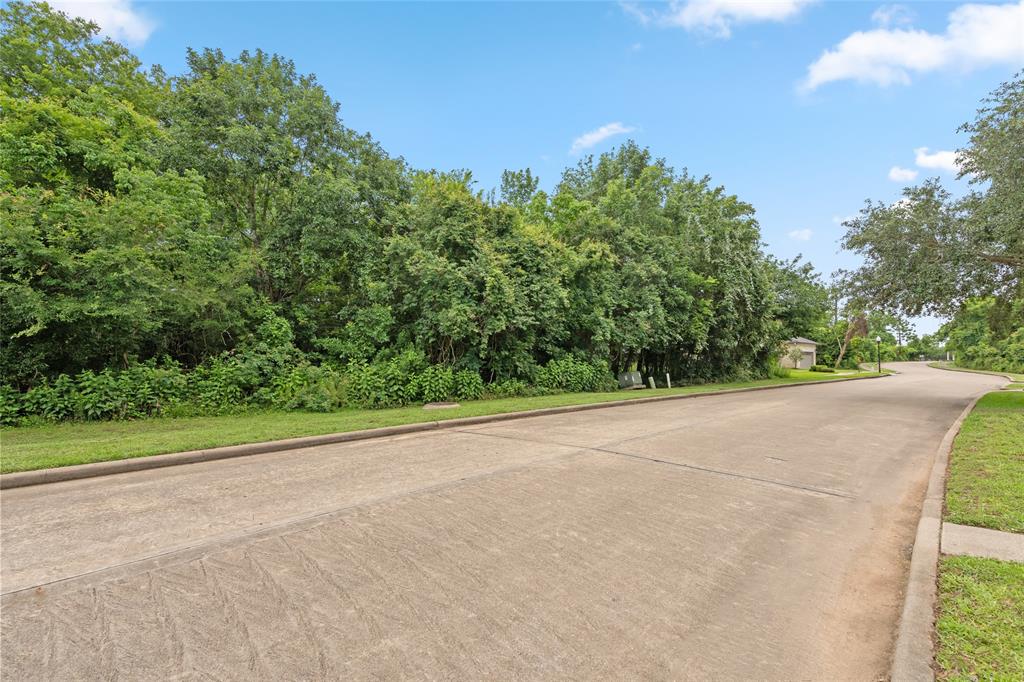 155 Island Boulevard, Missouri City, Texas image 11