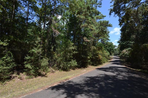 Vacant Land For Sale - TBD Rals Drive<br/> Onalaska, TX 77360