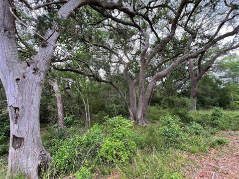  in West Columbia TX 0 County Road 376 1.jpg