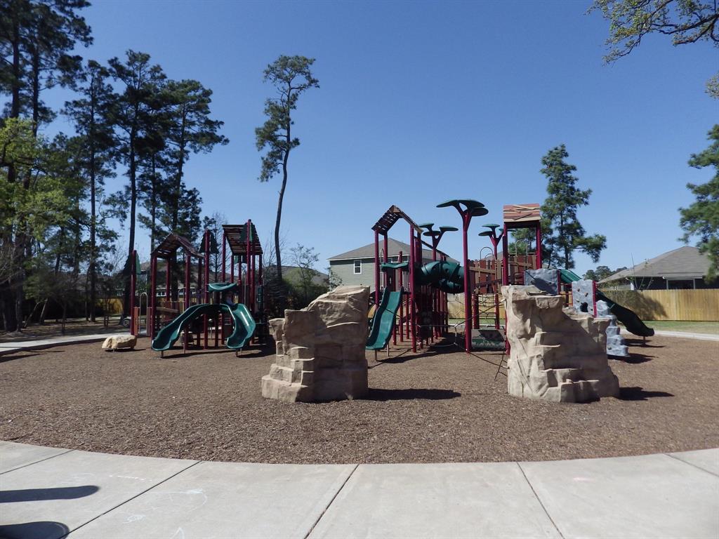 21131 Titian Drive, Magnolia, Texas image 25