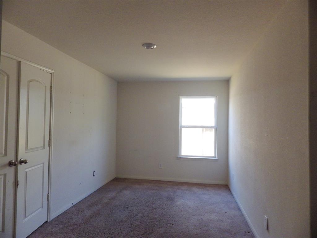 21131 Titian Drive, Magnolia, Texas image 18