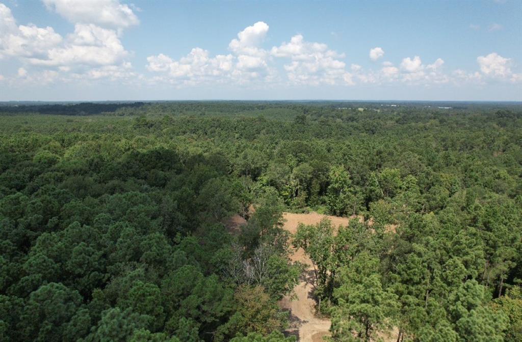 TBD County Road 3704, Joaquin, Texas image 2