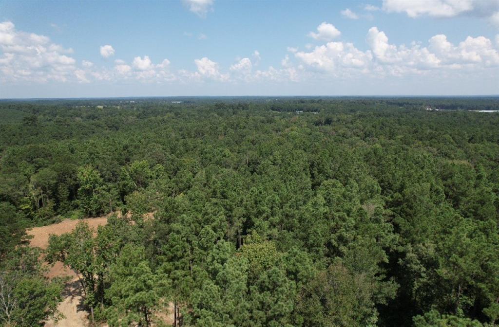 TBD County Road 3704, Joaquin, Texas image 3