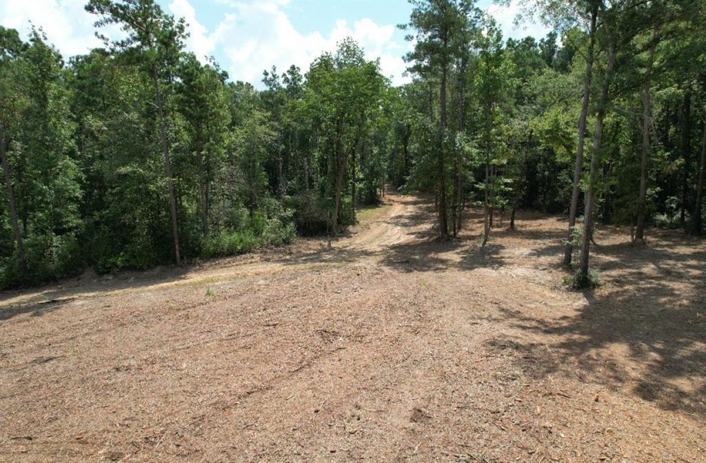 TBD County Road 3704, Joaquin, Texas image 12