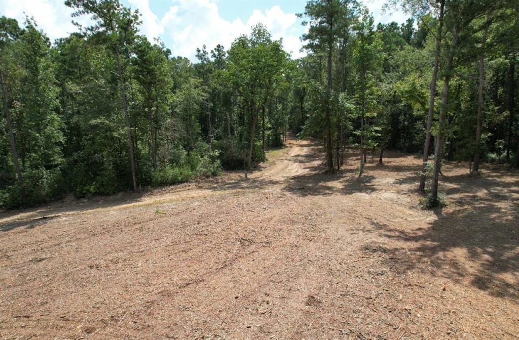 TBD County Road 3704, Joaquin, Texas image 16