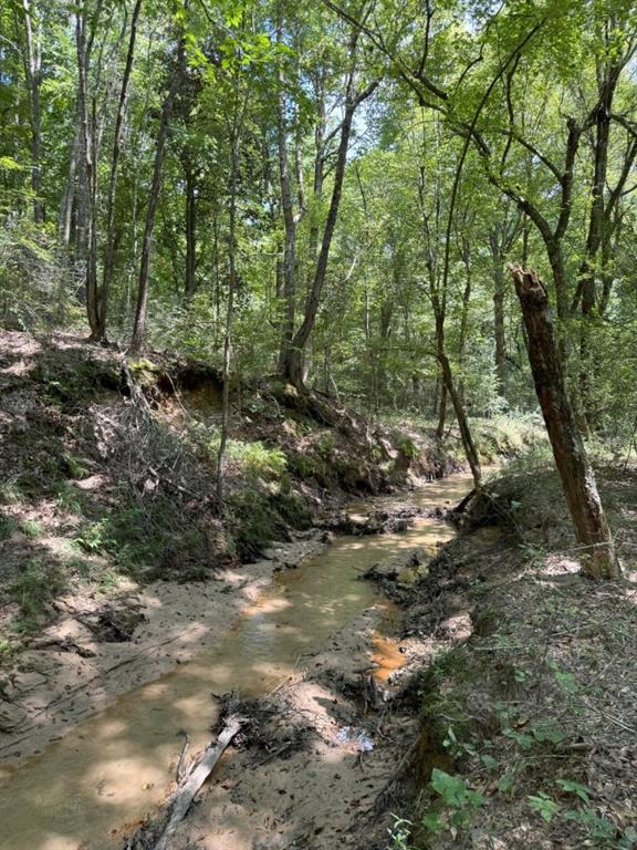 TBD County Road 3704, Joaquin, Texas image 32