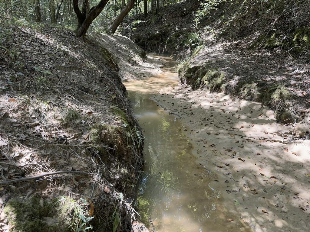 TBD County Road 3704, Joaquin, Texas image 37