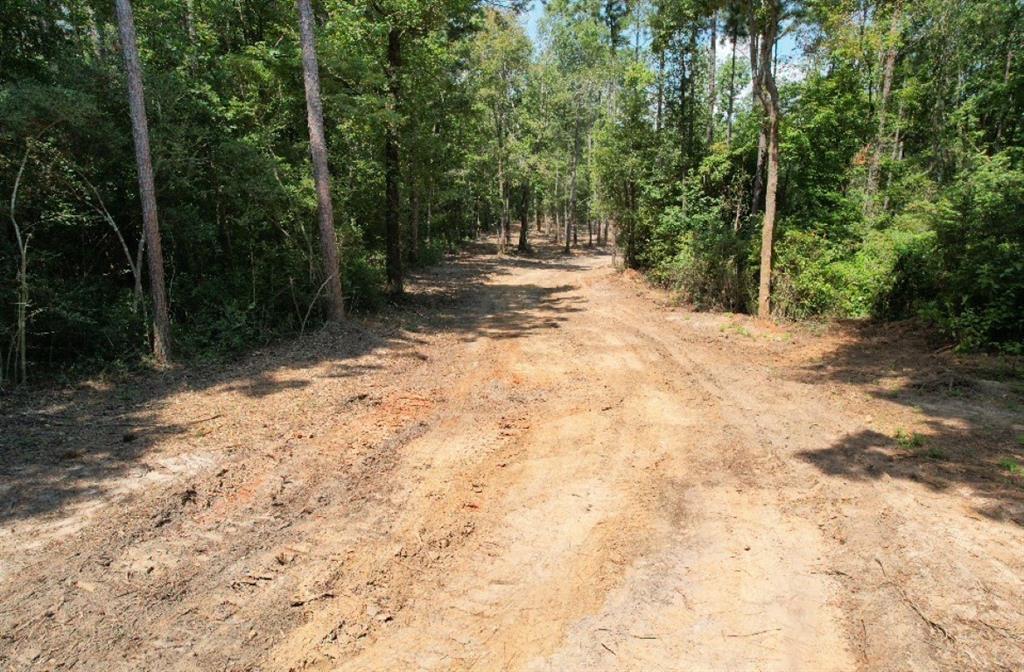 TBD County Road 3704, Joaquin, Texas image 4