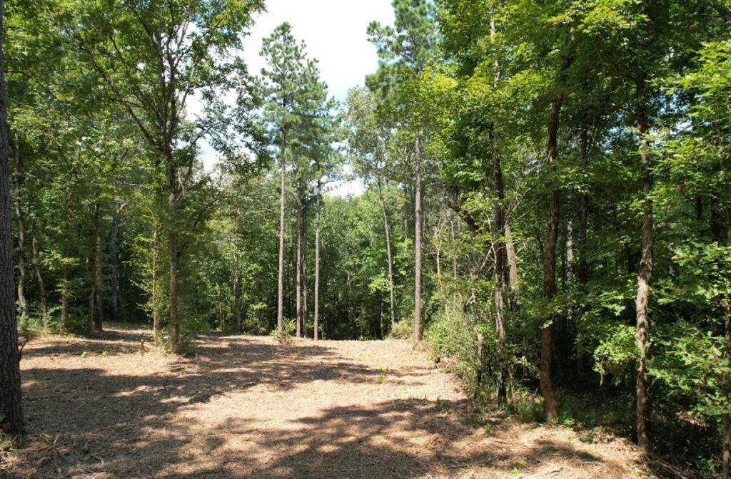 TBD County Road 3704, Joaquin, Texas image 5