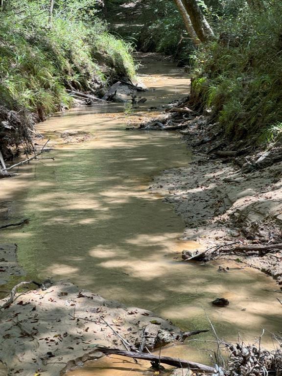 TBD County Road 3704, Joaquin, Texas image 38