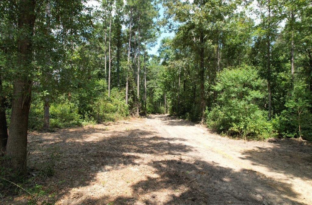 TBD County Road 3704, Joaquin, Texas image 17