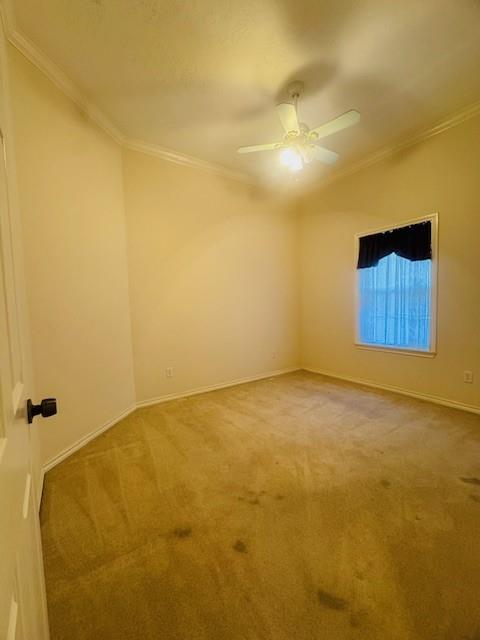 7 Autumn Way, Huntsville, Texas image 28