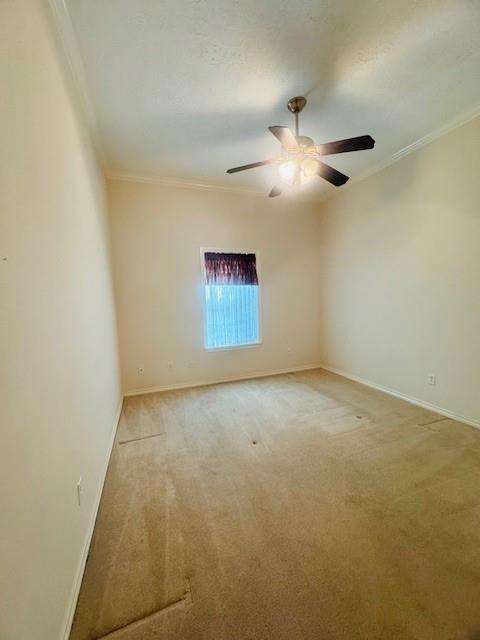 7 Autumn Way, Huntsville, Texas image 29