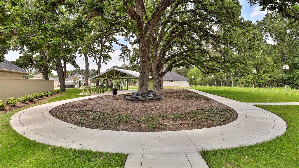 14703 Band Tailed Pigeon Court, Magnolia, Texas image 9