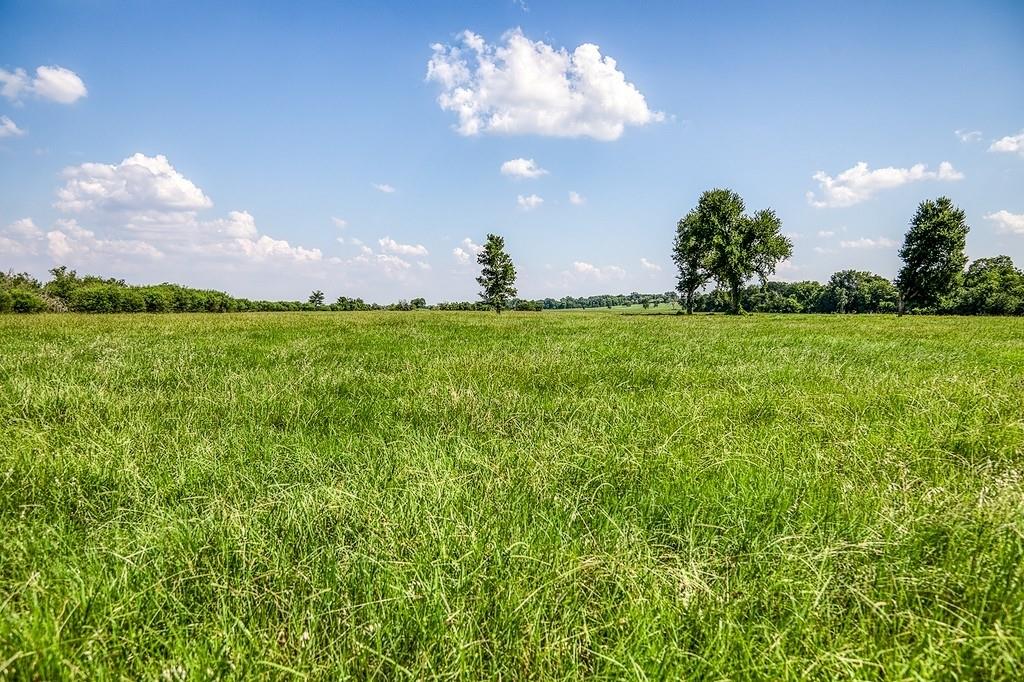 00000 Flat Prairie Road, Washington, Texas image 10