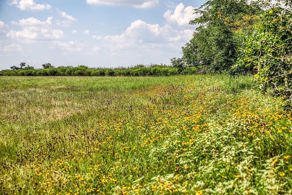 00000 Flat Prairie Road, Washington, Texas image 15