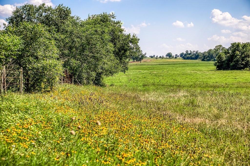 00000 Flat Prairie Road, Washington, Texas image 12