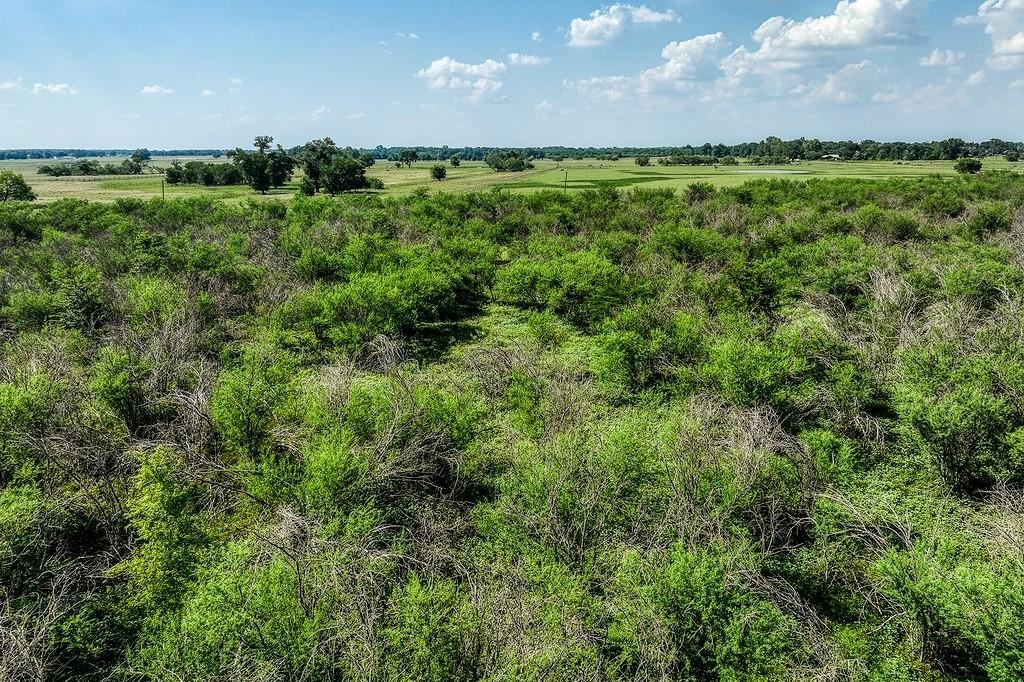 00000 Flat Prairie Road, Washington, Texas image 16