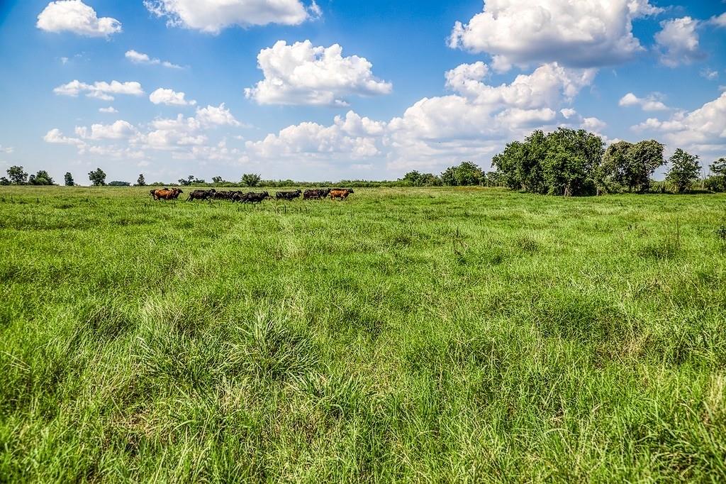 00000 Flat Prairie Road, Washington, Texas image 23