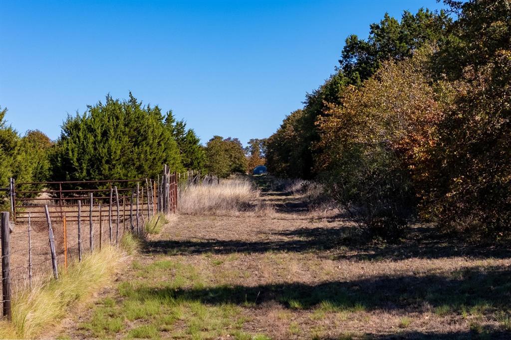 TBD County Road 462, Baird, Texas image 14