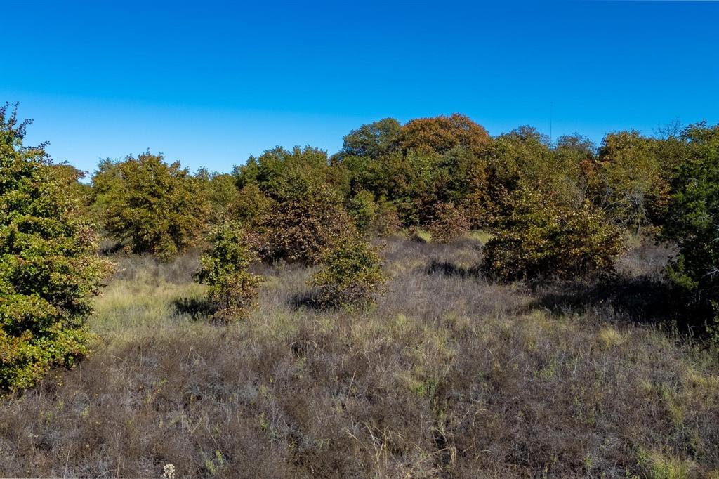 TBD County Road 462, Baird, Texas image 17