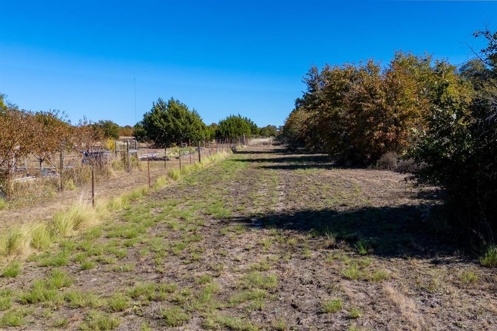 TBD County Road 462, Baird, Texas image 12