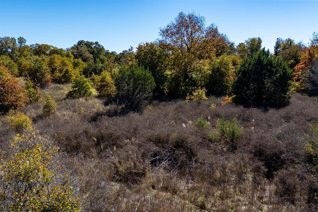 TBD County Road 462, Baird, Texas image 11