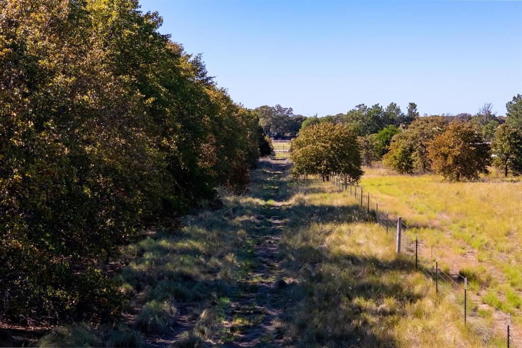 TBD County Road 462, Baird, Texas image 13