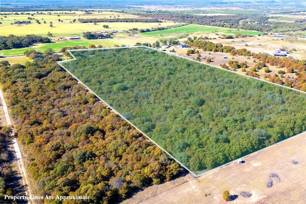 TBD County Road 462, Baird, Texas image 3