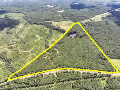 Vacant Land For Sale - 000000 Farm To Market 352<br/> Corrigan, TX 75939