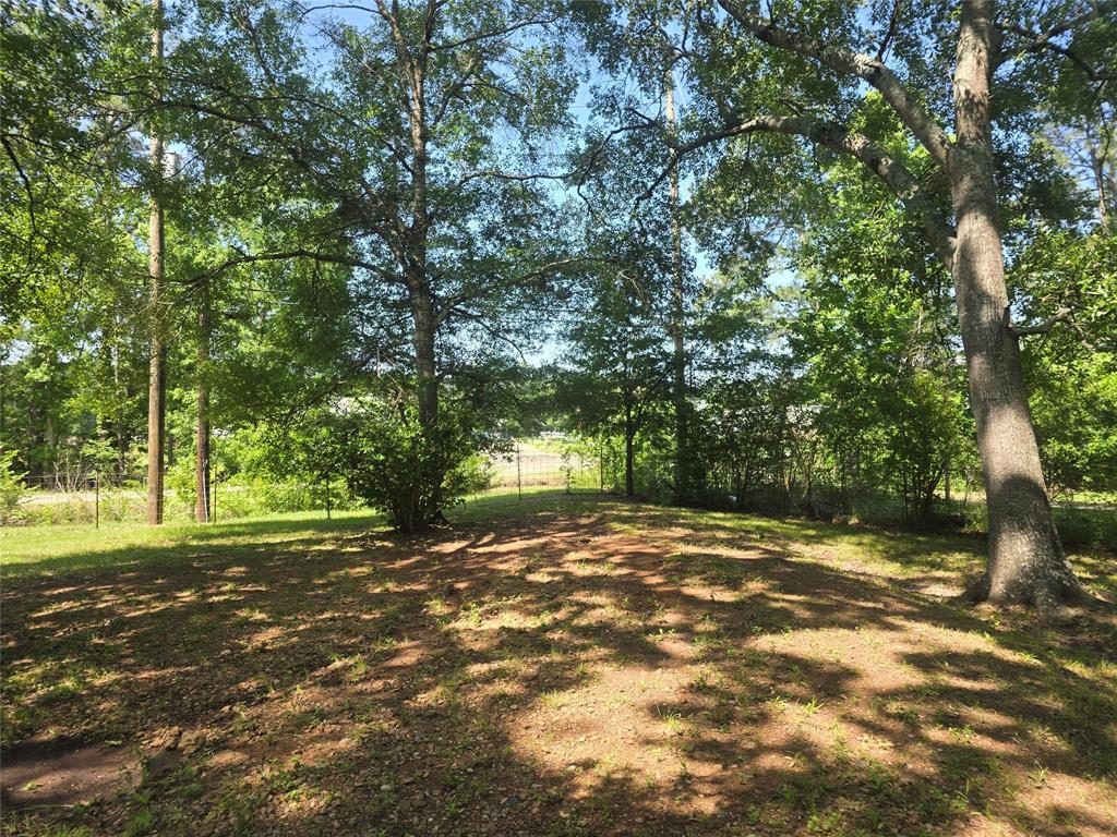 6479 Fm 1374 Road, New Waverly, Texas image 4