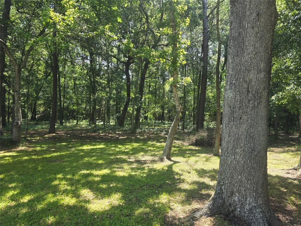 6479 Fm 1374 Road, New Waverly, Texas image 8