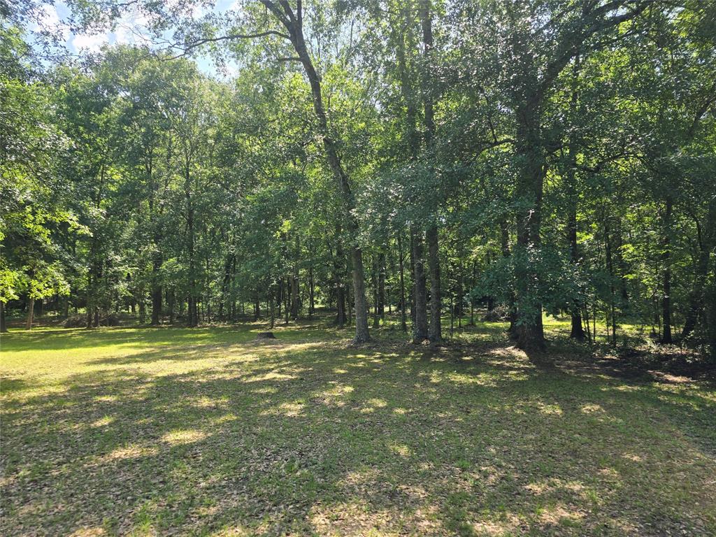 6479 Fm 1374 Road, New Waverly, Texas image 7
